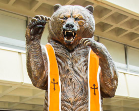 Mercer Bear statue with an orange sash