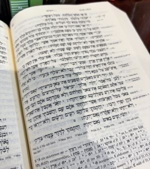 An open Hebrew Bible